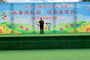 汉中市西乡县柳树镇中心学校举办读书节