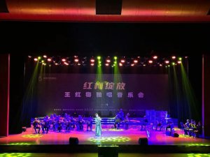 陕西籍歌手王红梅独唱音乐会在西安举办