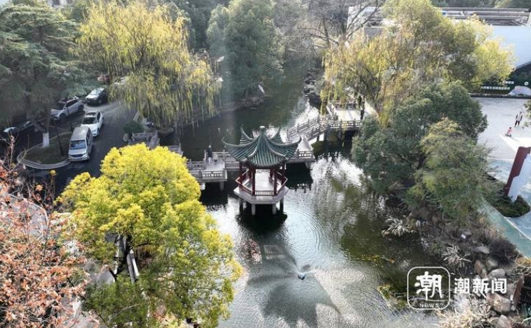 һӵحѿ¾֡ϰƽ㽭ĸĸ