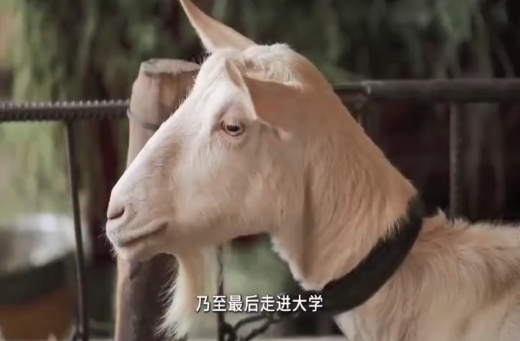 Һҵμ | ַ棺̸̵Nֿ