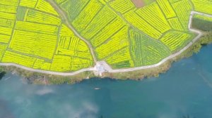 ֵĴѾİӰʦƷ 90%ȴȥˣ