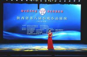 ʡڰ˽СϷСƷзֻ᳡չݾ