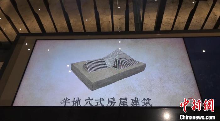 Ϻ㸻ַֿչʾݿ ҿǧɴ