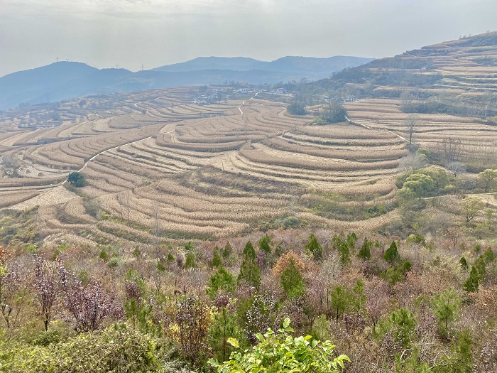 Ļƶжƪҵ¡˾ɫ̻ βҵ