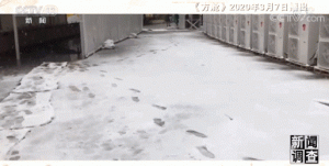 ���ŵ���ح�人������������