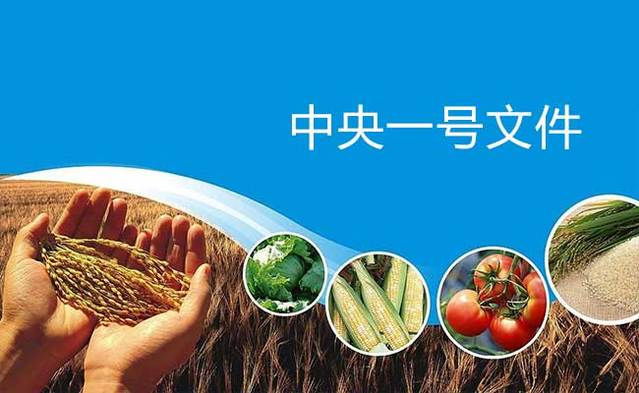 2021������һ���ļ�����