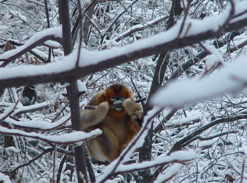 �ҹ�������Ա�á�����ʶ������ʶ�������˿��