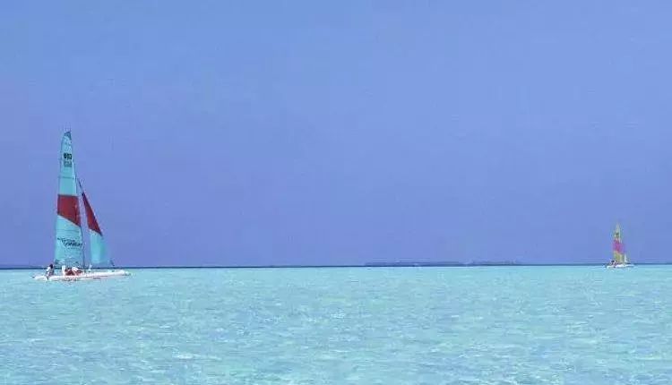 ��ѧ�¾����꽫�Ƴ�һ������Ʒ