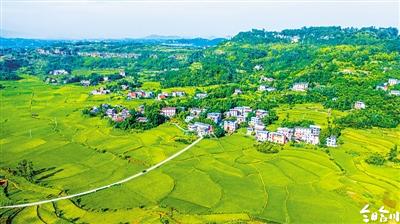 �����ŷ����ж��ƻ� ����������̬������ʶ