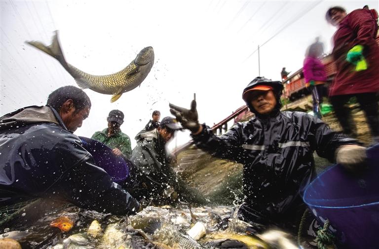 ܶ·  ͬıС ӡ̽ɳˡ̬񡱡̬