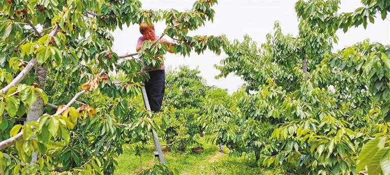 ܶ· ̡ԭ:һ· ܳԭٶȡ