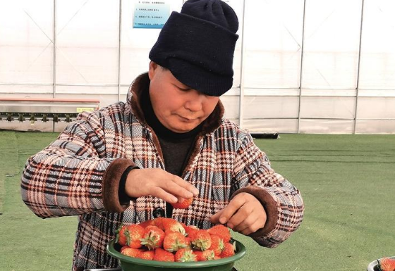 ´߻㡿ƽиկ:ݮӳҸ