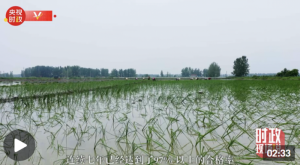 ʱ˵ح̸ũҵչ ᱣϡȫЭίԱ̹