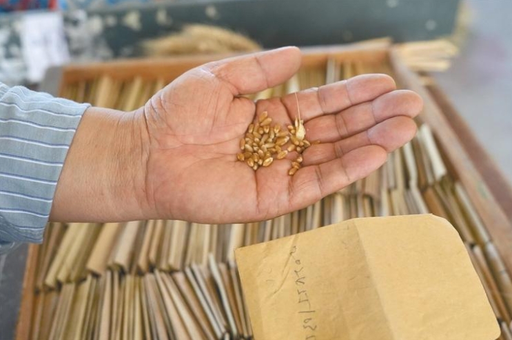 ϰƽʱйɫ˼ָ¡ΪСƵƵѡҶӡı