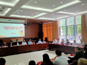 ʡ塶ɫӢģڷüսۼ׷