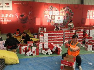 ��׳��70�ꡤ�ܶ���ʱ���� �����أ��ܶ�������СС�����������