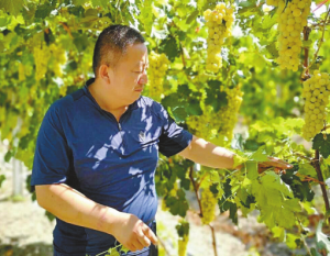 ˿· ˿·񡪡һһ·ձ