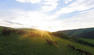 ĸ￪40꣺ó֯йʵֹӮ