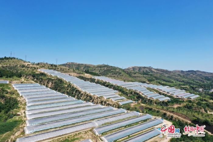 ΢ͼƬ_20190902155953