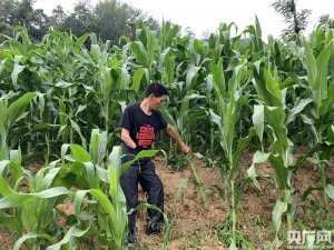 ƶժñȲҪ һֳֻһƬ