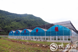 зƺӿ췢չɫҩĲҵ ũƶ