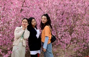 պǽӴοͽ˴ ۺ3.2Ԫ