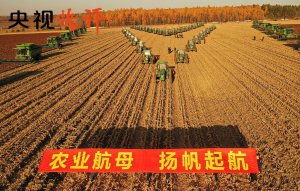 �����ӿ���������Ҫ���ˣ���������