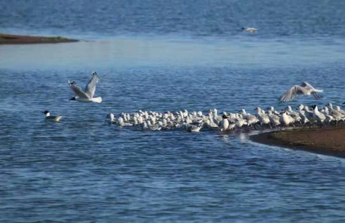 1636785658406220.jpeg 625A7AA2-A0AE-4E9A-AA3D-48D754F06134.jpeg