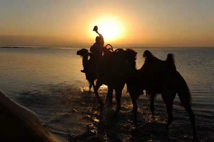 1636786141854998.jpeg 9691E28F-FA87-4F78-8464-5D24D37E9B3E.jpeg