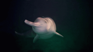 ���ס��������