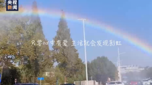 лл�㣬��Сȷ�ҡ�