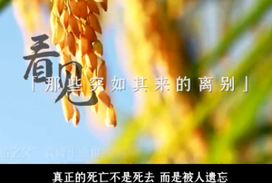 2021���������������