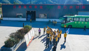 ƺӰحӳغڼұ:+Nɫ »