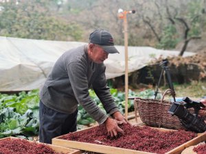 иׯ򣺴롰ˮɽ ȡɽɽ