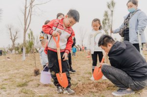 ֲ԰򿨡  δ빬ַ԰ܷܷδʽ