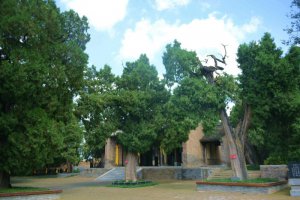 μаˮأǧӡ֤ɽӡ䡱