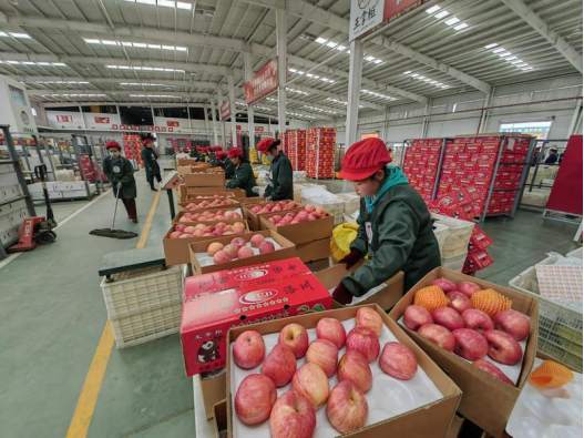 image.png?x-oss-process=style/w10