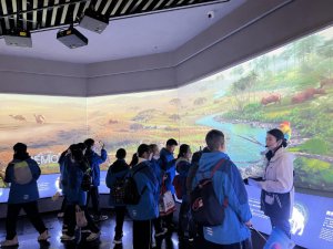 ̽Ѱ˿·Ļ 2024˿·綬Ӫ