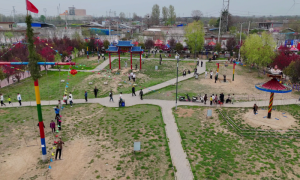 ܫ˾ҴھŽǧĻνڽ44տĻ