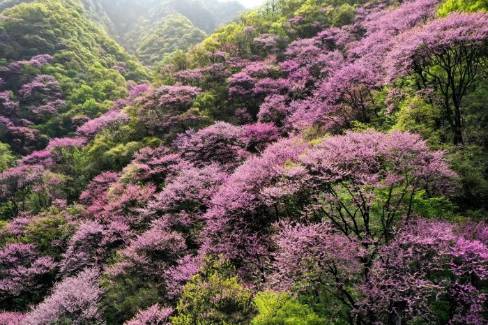 DJI_0142 (12)(1).jpg