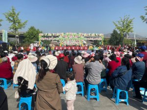 ػ ׯ2024꺫дչʾɹٰ