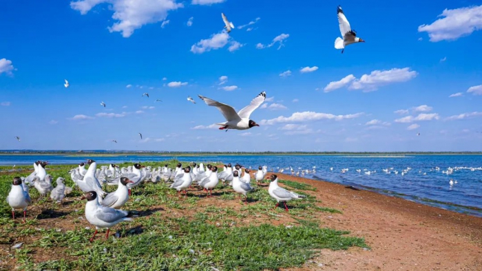 1755597083100612.jpg 微信图片_2025-08-19_175029_212.jpg