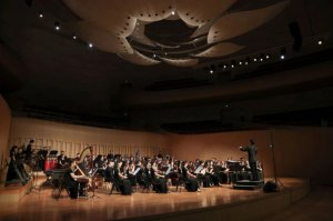 ֻᡶӿ硷  ׾乴չְ续