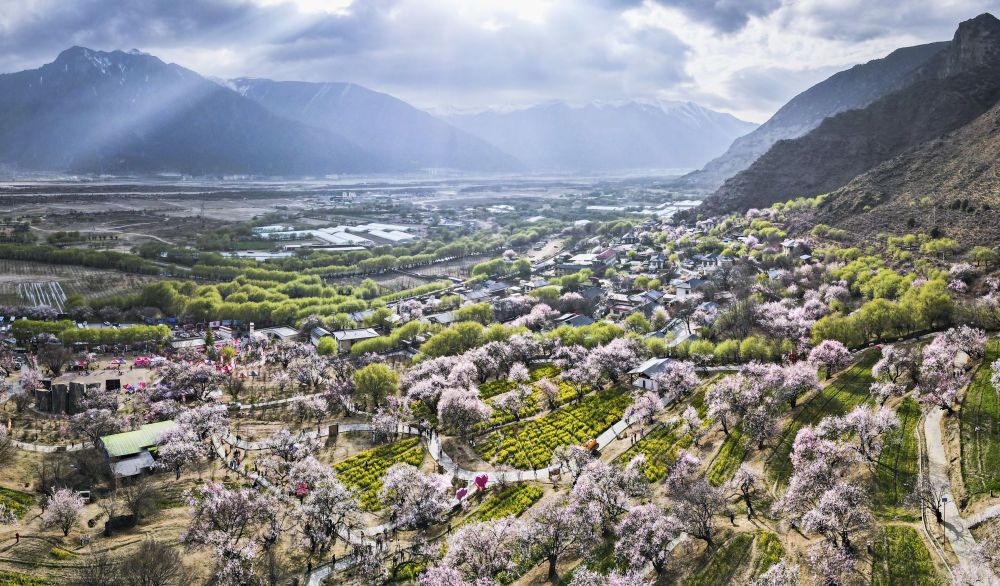 һ˻Ƭڴع·Ϊءһһ塱ͼƬԴ »