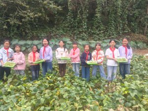 ɳѧУУͶʵæ ֪кһɳ