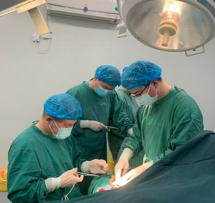 1765848935671726.jpg cfd2e35cad602bd5b95577e6abfd0f7a.jpg